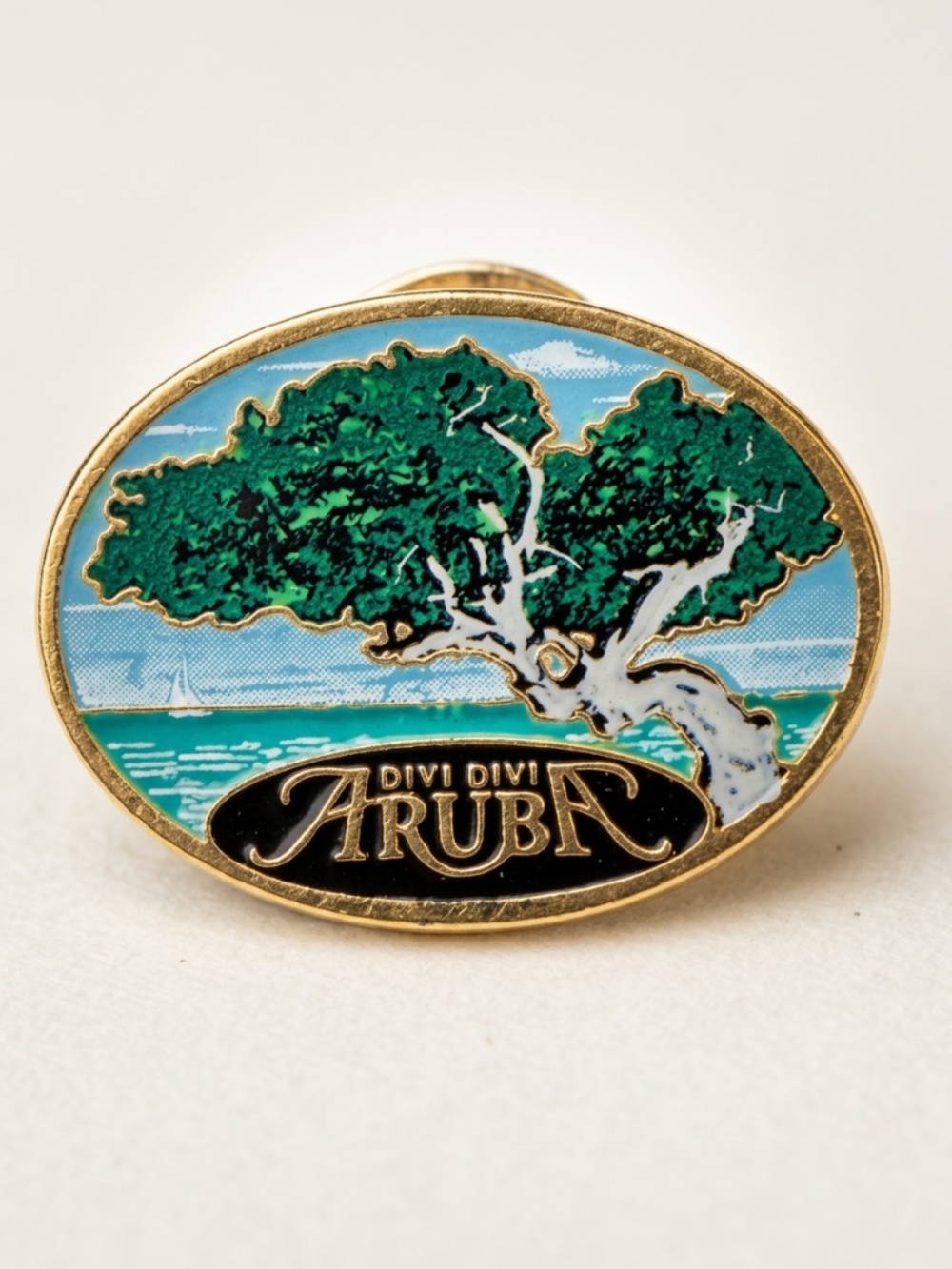 Vintage Divi Divi ARUBA Lapel Pin - Souvenir Travel Pin